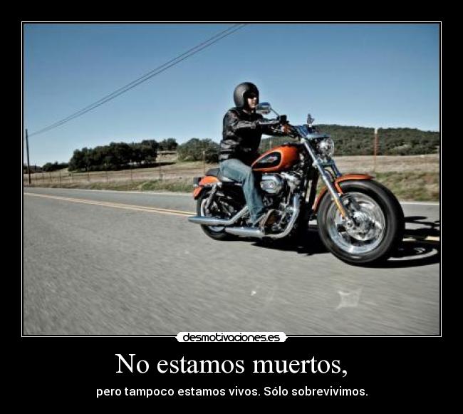 No estamos muertos, -