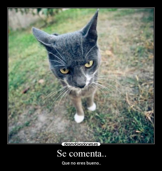 Se comenta.. - 