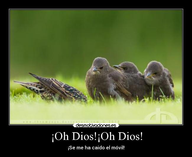 ¡Oh Dios!¡Oh Dios! - ¡Se me ha caido el móvil!