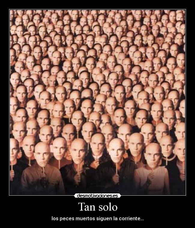 Tan solo - los peces muertos siguen la corriente...