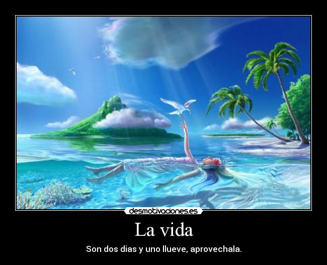 La vida -