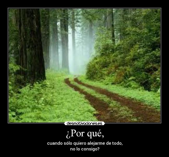 ¿Por qué, - 
