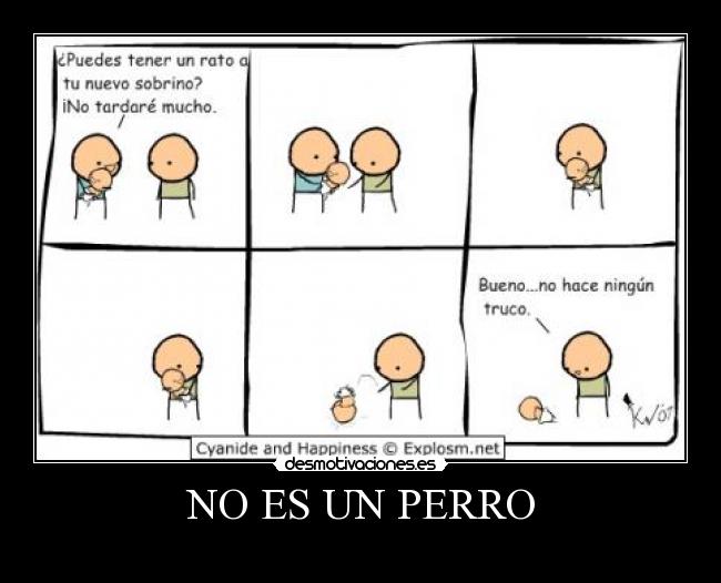 NO ES UN PERRO -