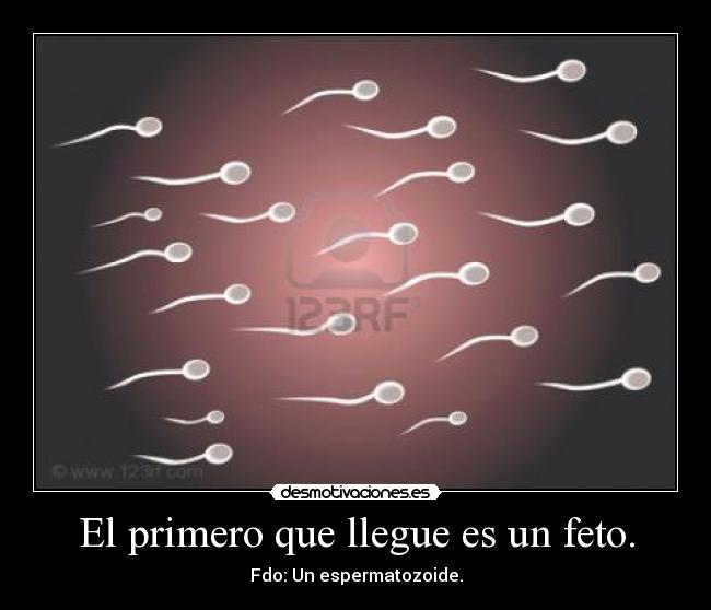 El primero que llegue es un feto. - 