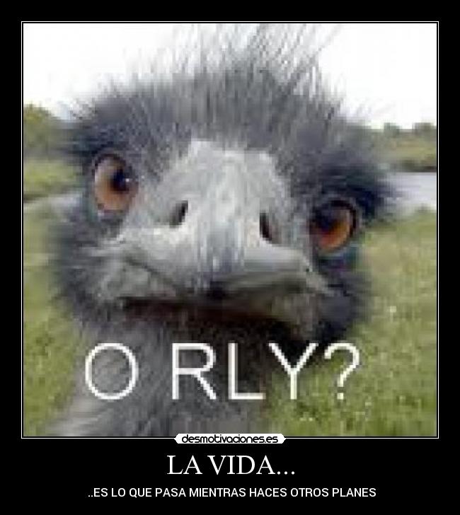 carteles vida walt_k desmotivaciones