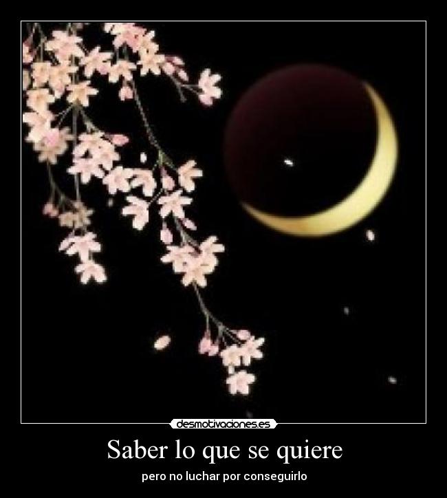 Saber lo que se quiere - 