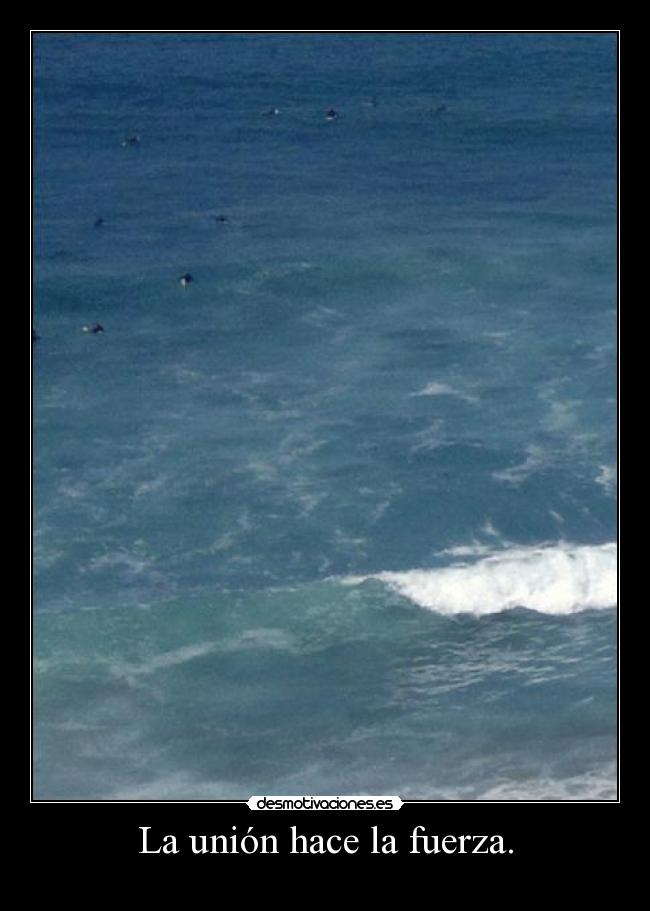 La unión hace la fuerza. -
