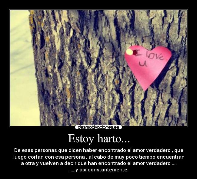 Estoy harto... - De esas personas que dicen haber encontrado el amor verdadero , que
luego cortan con esa persona , al cabo de muy poco tiempo encuentran
a otra y vuelven a decir que han encontrado el amor verdadero ....
.....y así constantemente.