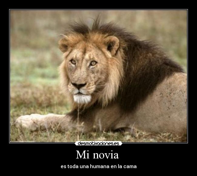 Mi novia  - 