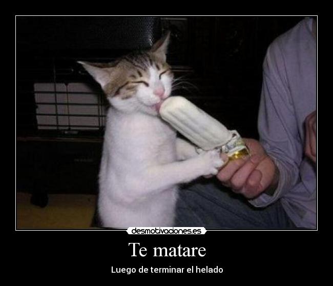 Te matare - 