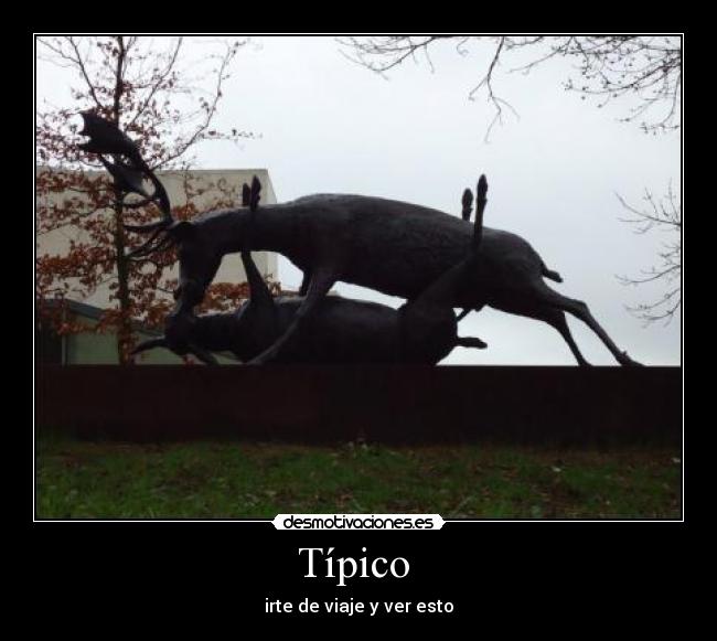 Típico -