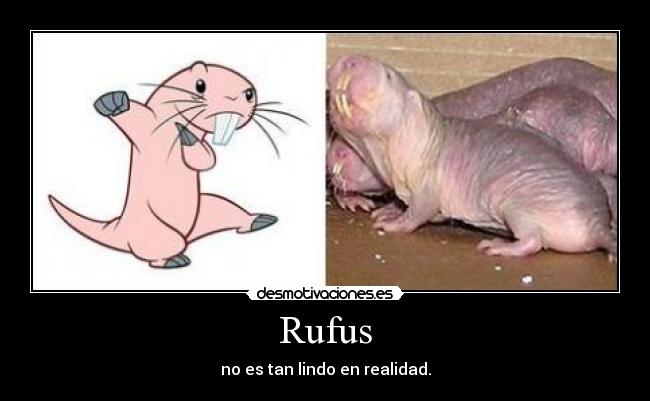 Rufus -