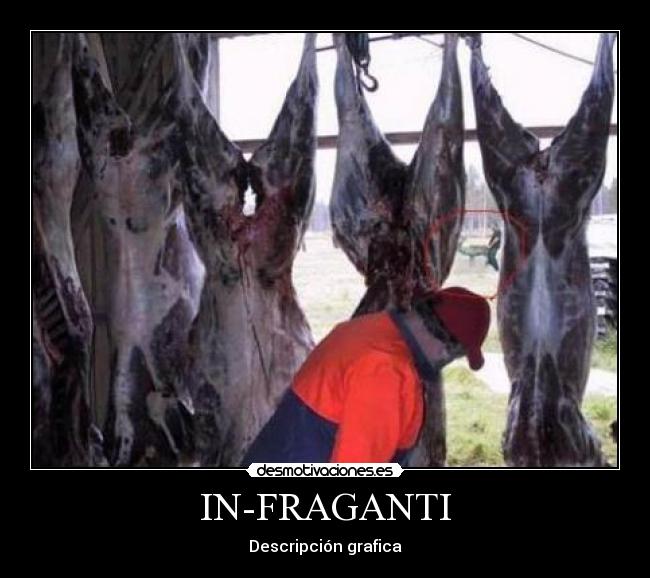 IN-FRAGANTI - 