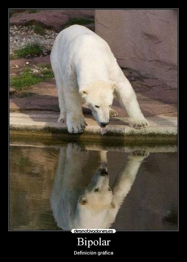 Bipolar - Definición gráfica