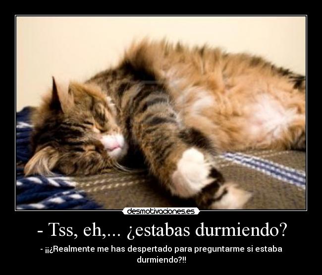 - Tss, eh,... ¿estabas durmiendo? - - ¡¡¿Realmente me has despertado para preguntarme si estaba durmiendo?!!