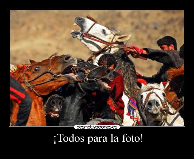 ¡Todos para la foto! - 