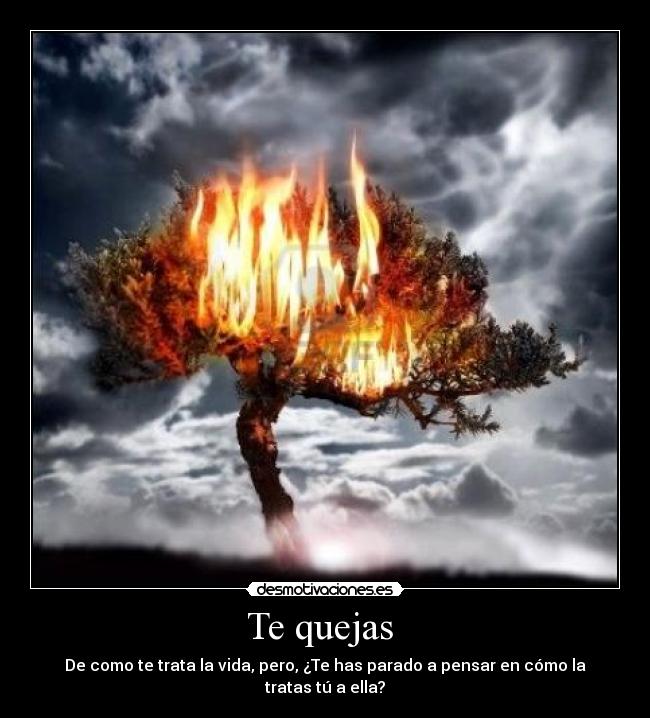 Te quejas  - De como te trata la vida, pero, ¿Te has parado a pensar en cómo la tratas tú a ella?