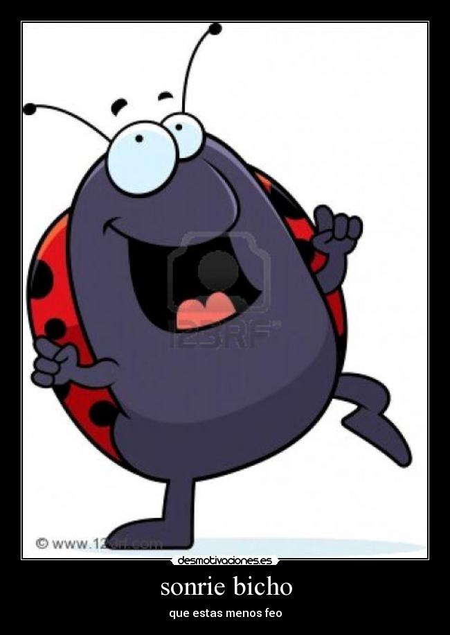 sonrie bicho - que estas menos feo