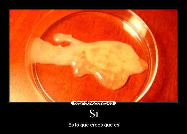 Si - Es lo que crees que es
