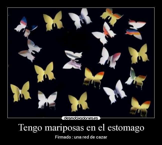 carteles yolandittadulce desmotivaciones