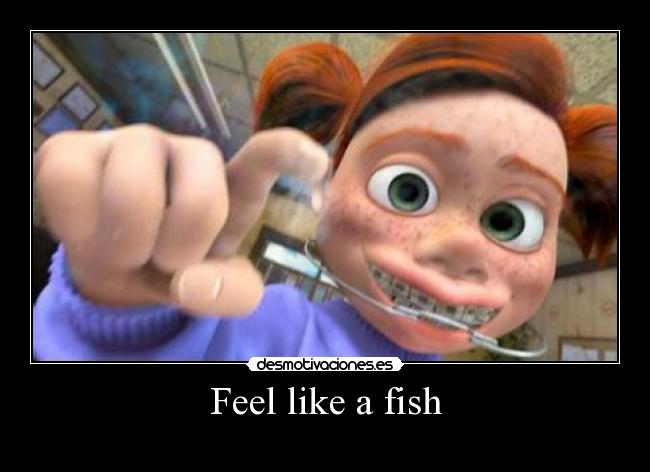 carteles feel like fish desmotivaciones