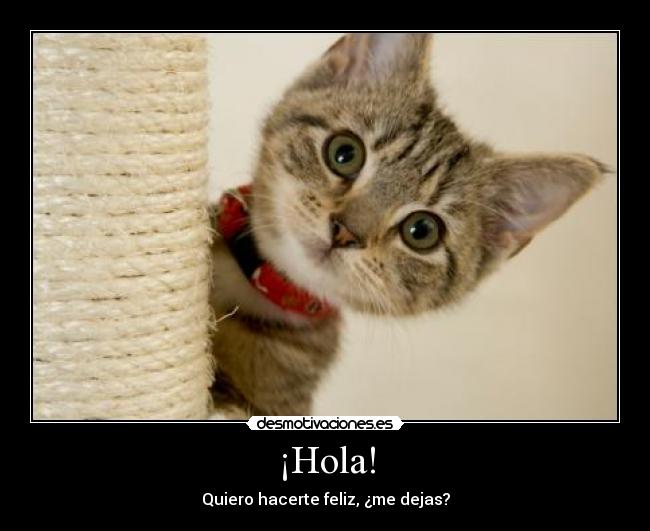 ¡Hola! - 