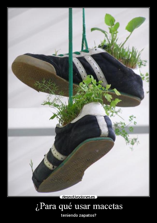 ¿Para qué usar macetas - teniendo zapatos?