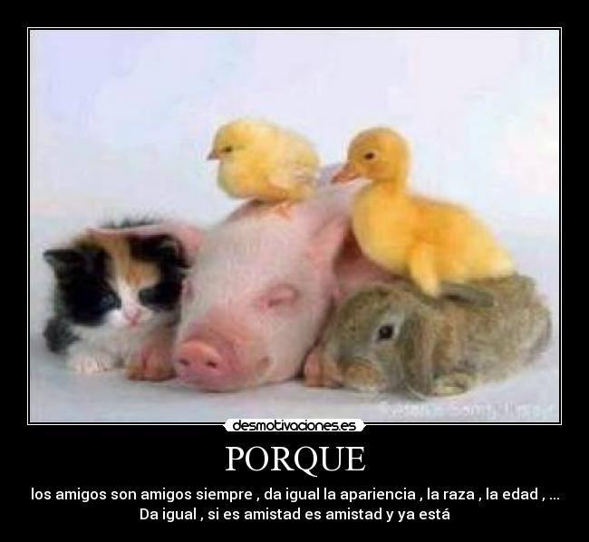 PORQUE - los amigos son amigos siempre , da igual la apariencia , la raza , la edad , ...
Da igual , si es amistad es amistad y ya está