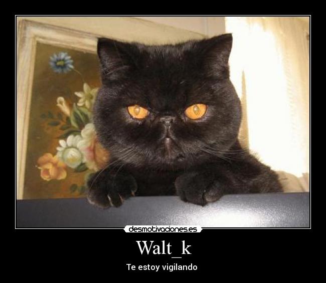 Walt_k - Te estoy vigilando