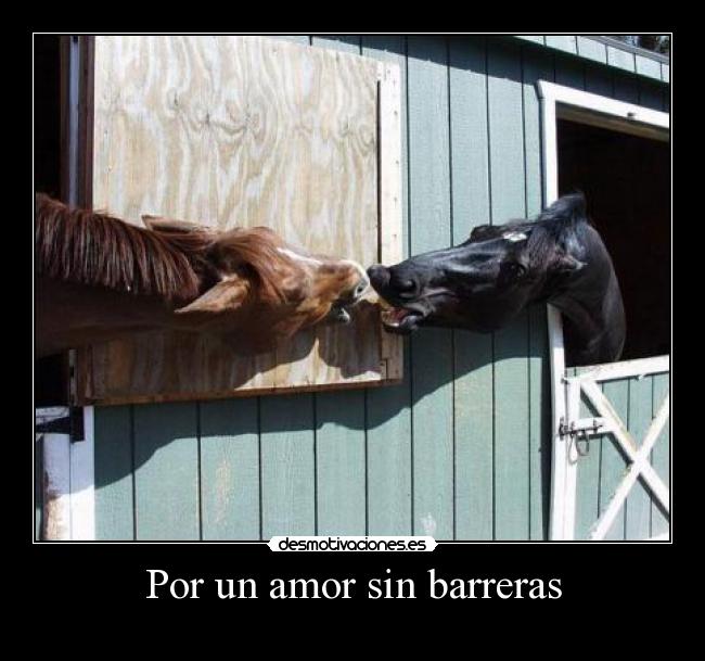 Por un amor sin barreras - 