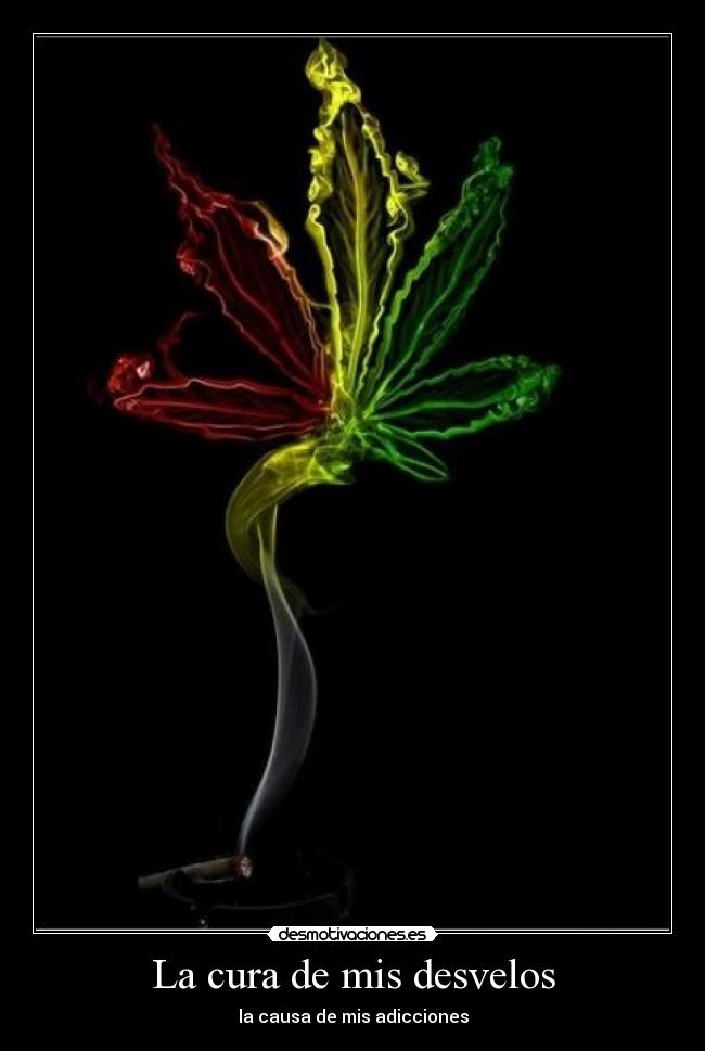 La cura de mis desvelos -