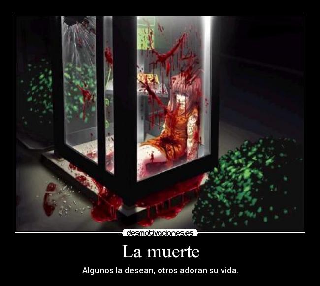 carteles muerte lol desmotivaciones