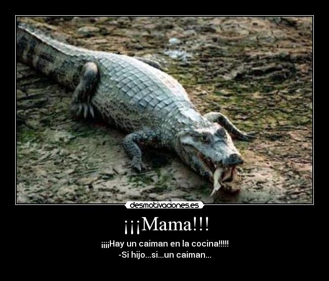 ¡¡¡Mama!!! -