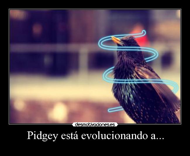 Pidgey está evolucionando a... -