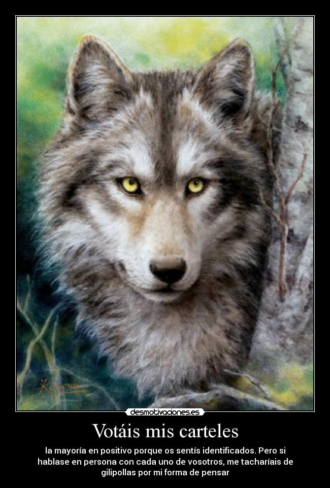 Votáis mis carteles - la mayoría en positivo porque os sentís identificados. Pero si
hablase en persona con cada uno de vosotros, me tacharíais de
gilipollas por mi forma de pensar