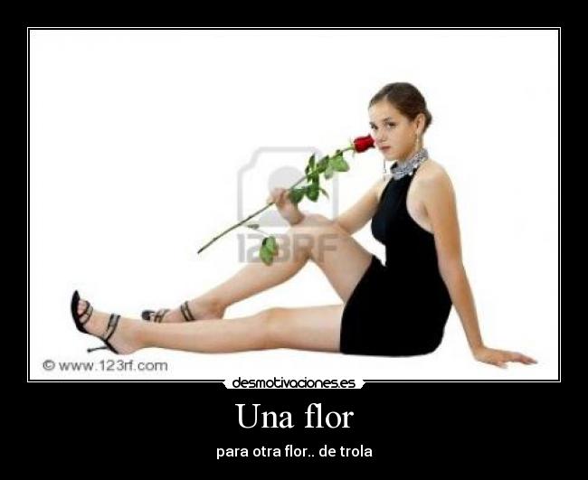 Una flor - para otra flor.. de trola
