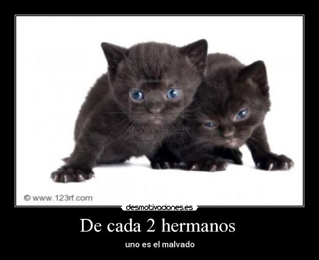 De cada 2 hermanos - uno es el malvado