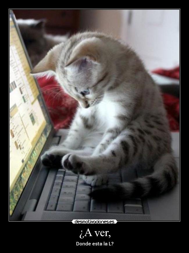 ¿A ver, - Donde esta la L?