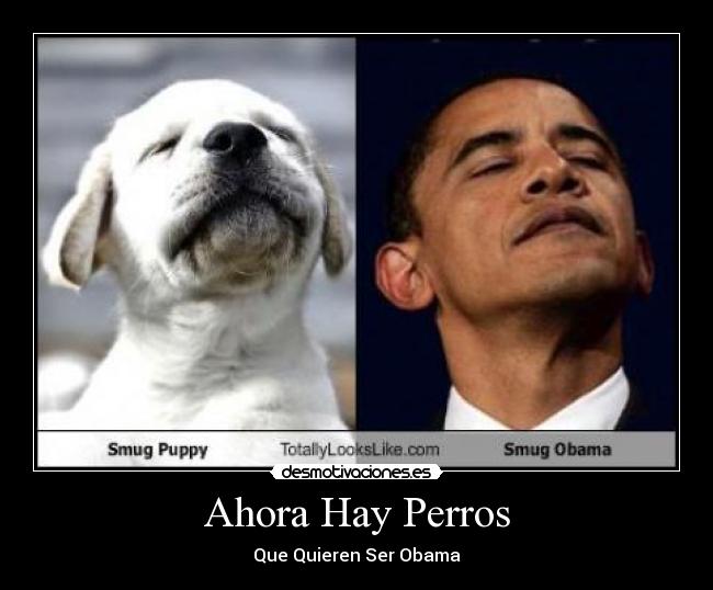 Ahora Hay Perros - Que Quieren Ser Obama