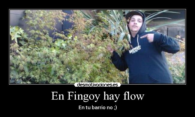 En Fingoy hay flow - 