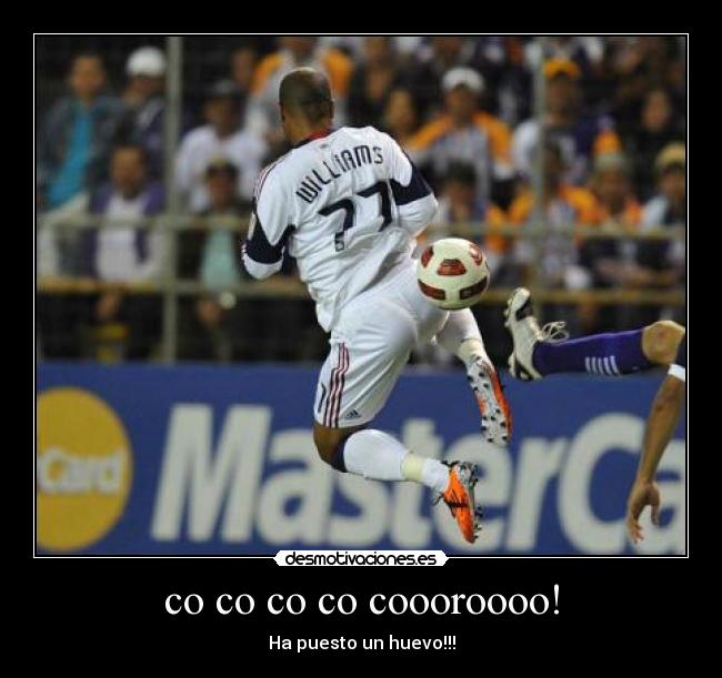 co co co co coooroooo! - Ha puesto un huevo!!!