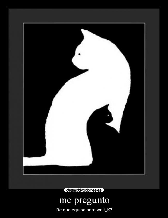 me pregunto - De que equipo sera walt_K?