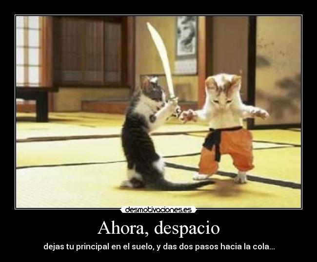 Ahora, despacio - dejas tu principal en el suelo, y das dos pasos hacia la cola...