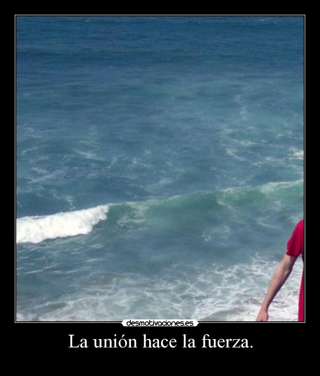 La unión hace la fuerza. -