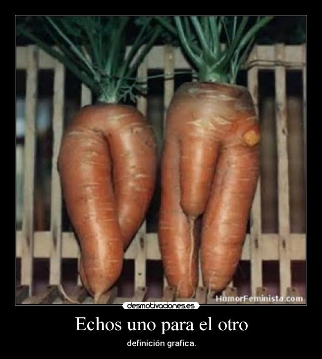 Echos uno para el otro - definición grafica.