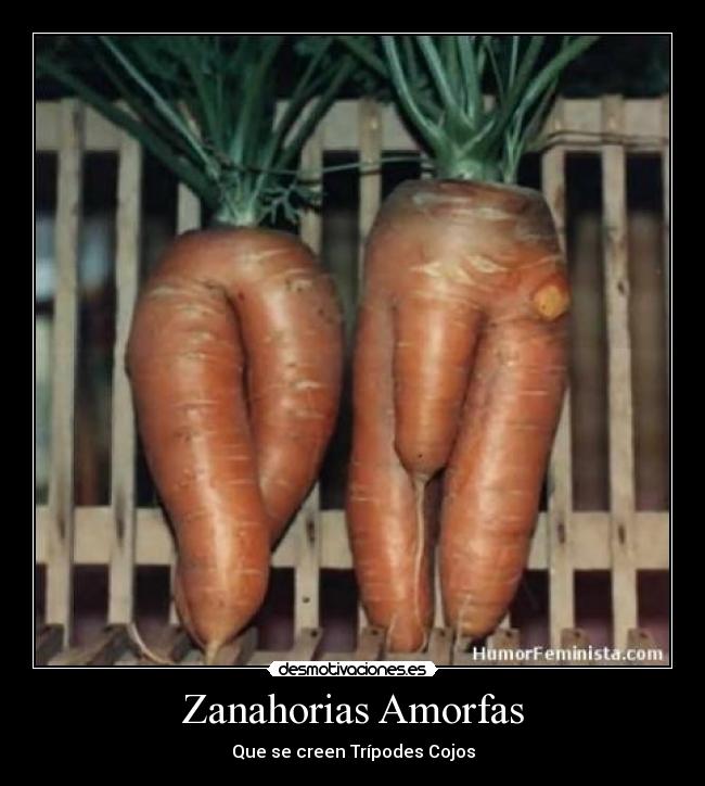 Zanahorias Amorfas - Que se creen Trípodes Cojos