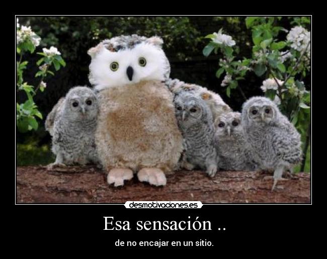 Esa sensación .. - de no encajar en un sitio.