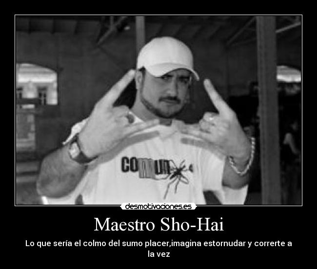 Maestro Sho-Hai -