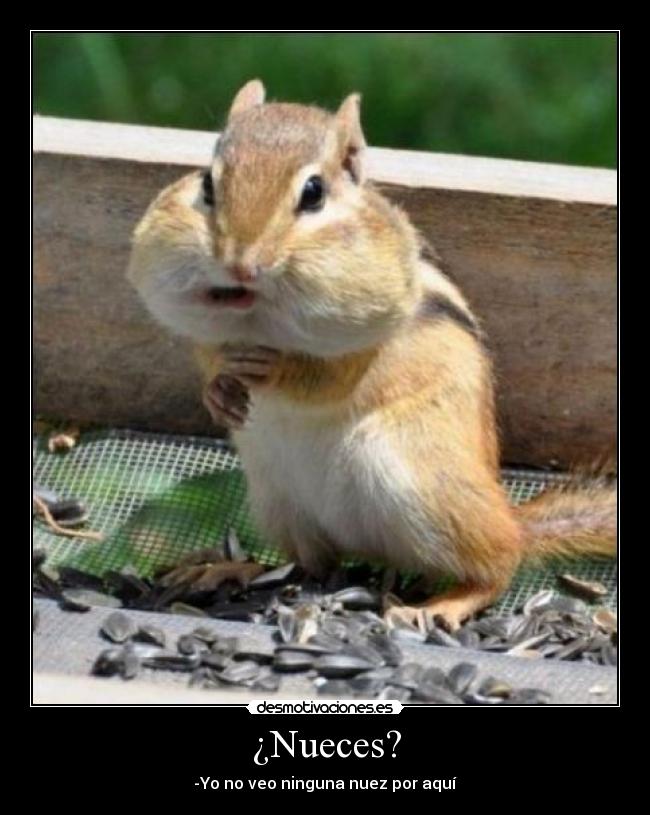 ¿Nueces? -
