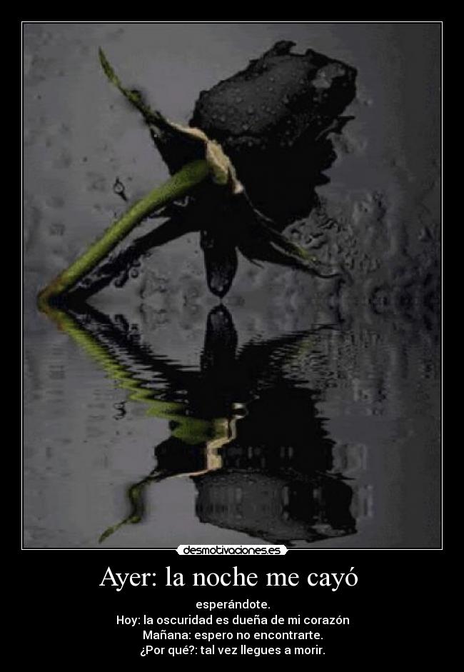 Ayer: la noche me cayó - esperándote.
Hoy: la oscuridad es dueña de mi corazón
Mañana: espero no encontrarte.
¿Por qué?: tal vez llegues a morir.